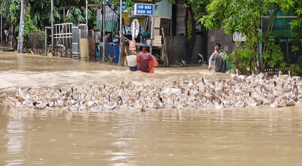 Mưa lũ gây ngập sâu, nhiều khu vực ở Khánh Hòa bị chia cắt - Ảnh 9. Mưa lũ gây ngập sâu, nhiều khu vực ở Khánh Hòa bị chia cắt - Ảnh 9.