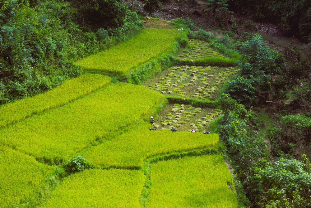 Trải nghiệm &quot;thế giới thu nhỏ&quot; của Khu dự trữ sinh quyển Pù Huống - Ảnh 3.