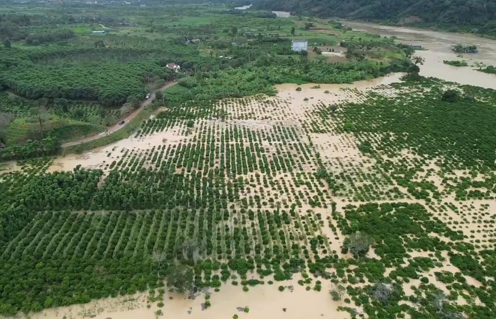 Phó Thủ tướng Hồ Quốc Dũng yêu cầu Lâm Đồng giải ngân nhanh 200 tỷ đồng hỗ trợ người dân sau mưa lũ - Ảnh 2.