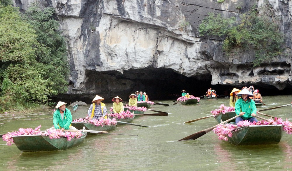 Sắc Hồng Tam Cốc thu hút đông đảo du khách trong nước và quốc tế - Ảnh 2. Sắc Hồng Tam Cốc thu hút đông đảo du khách trong nước và quốc tế - Ảnh 2.