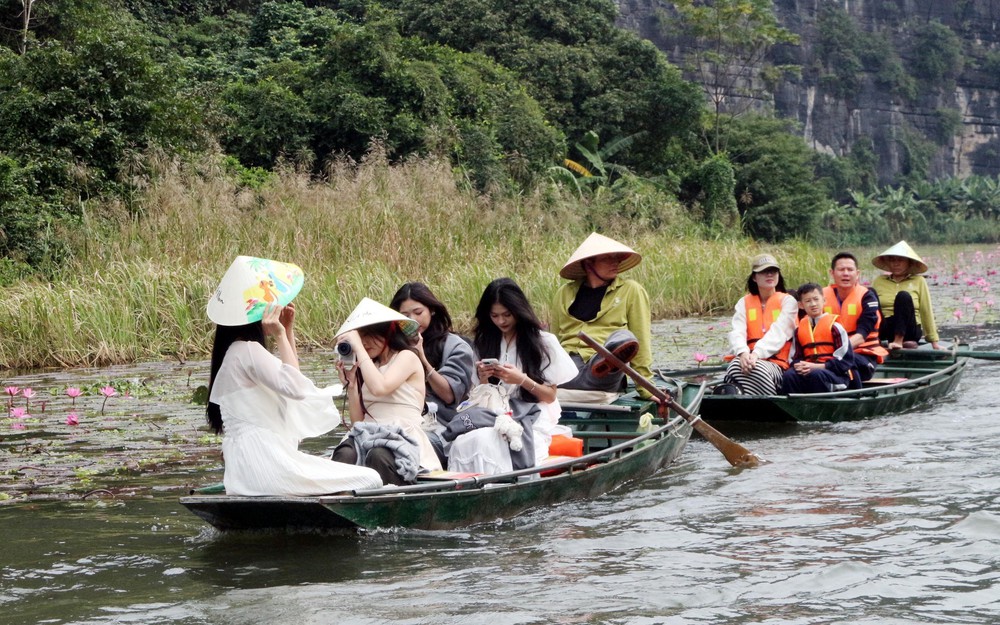 Sắc Hồng Tam Cốc thu hút đông đảo du khách trong nước và quốc tế - Ảnh 4. Sắc Hồng Tam Cốc thu hút đông đảo du khách trong nước và quốc tế - Ảnh 4.