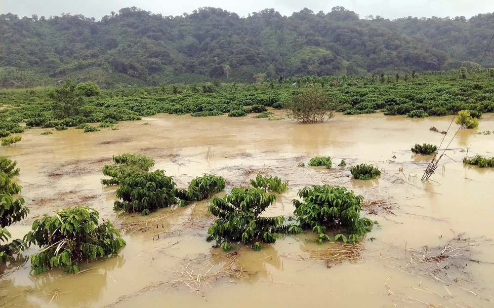 Mưa lũ miền Trung – Tây Nguyên: Ước tính thiệt hại hơn 13.000 tỷ đồng - Ảnh 1.