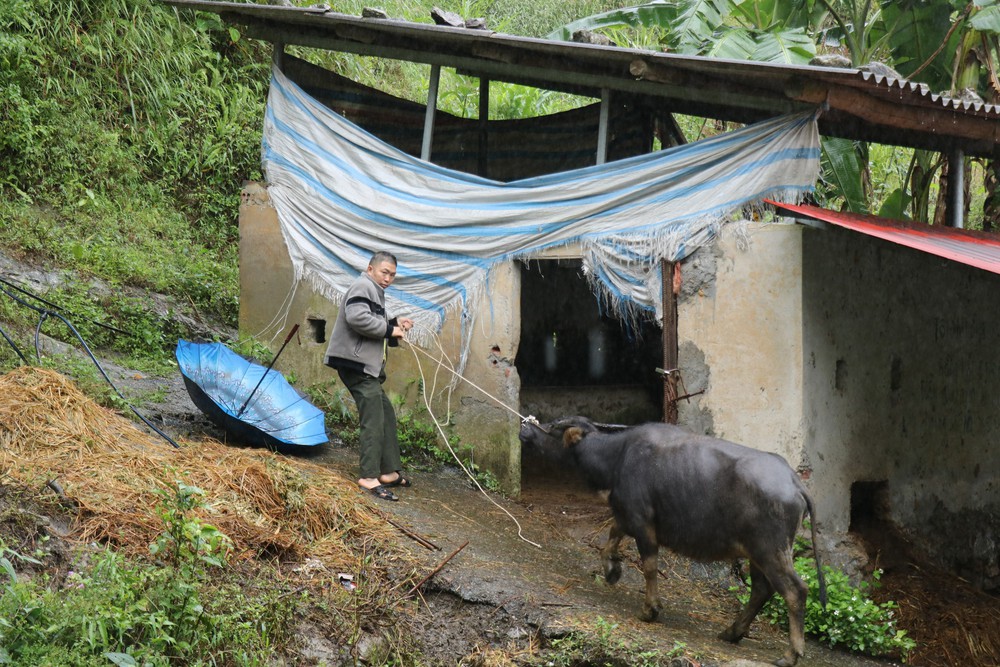 Không khí lạnh tăng cường, vùng núi Bắc Bộ có nơi xuống dưới 10 độ C - Ảnh 1. Không khí lạnh tăng cường, vùng núi Bắc Bộ có nơi xuống dưới 10 độ C - Ảnh 1.