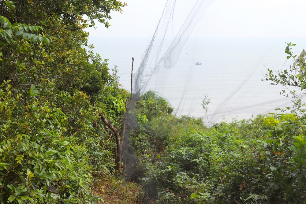 Nghệ An: Báo động tình trạng bẫy, bắt chim hoang dã theo kiểu tận diệt trên núi Rồng - Ảnh 2.