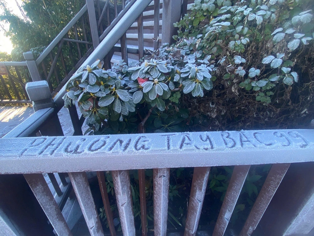 Băng tuyết phủ trắng đỉnh Fansipan  - Ảnh 11.