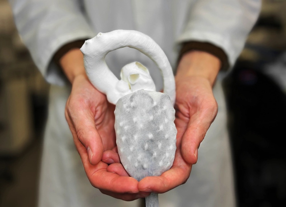 Những công nghệ hứa hẹn đột phá tương lai tại sân khấu VinFuture 2025 - Ảnh 2.