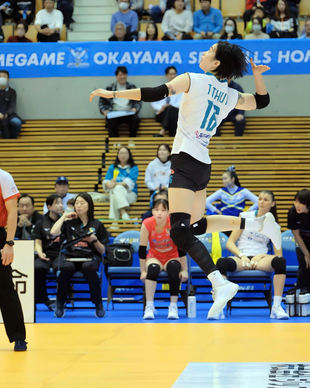 Tin nóng thể thao tối 24/11: Trần Thị Thanh Thúy đón tin vui mới nhất sau khi bùng nổ ở giải bóng chuyền Nhật Bản  - Ảnh 1.