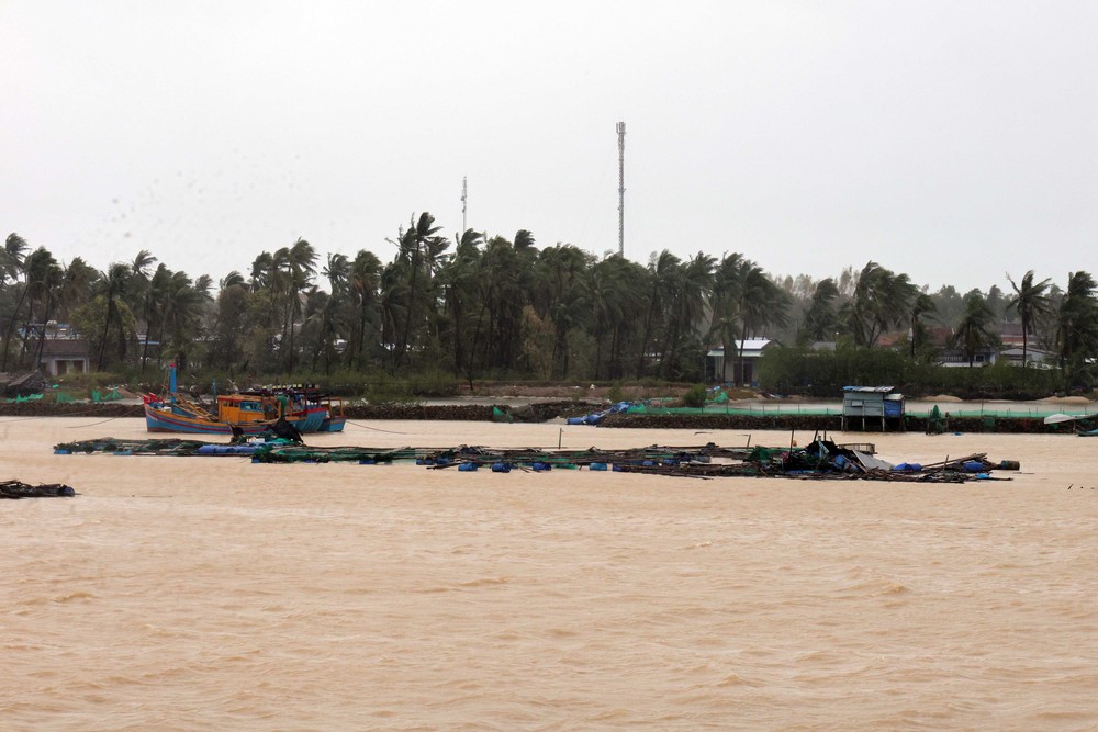 Mưa lũ miền Trung – Tây Nguyên: Thiệt hại trên 1.300 ha thủy sản - Ảnh 3.