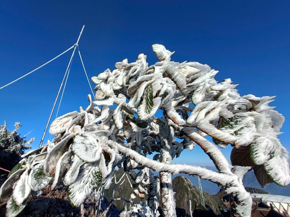 Băng giá phủ trắng đỉnh Fansipan, Lào Cai - Ảnh 7. Băng giá phủ trắng đỉnh Fansipan, Lào Cai - Ảnh 7.