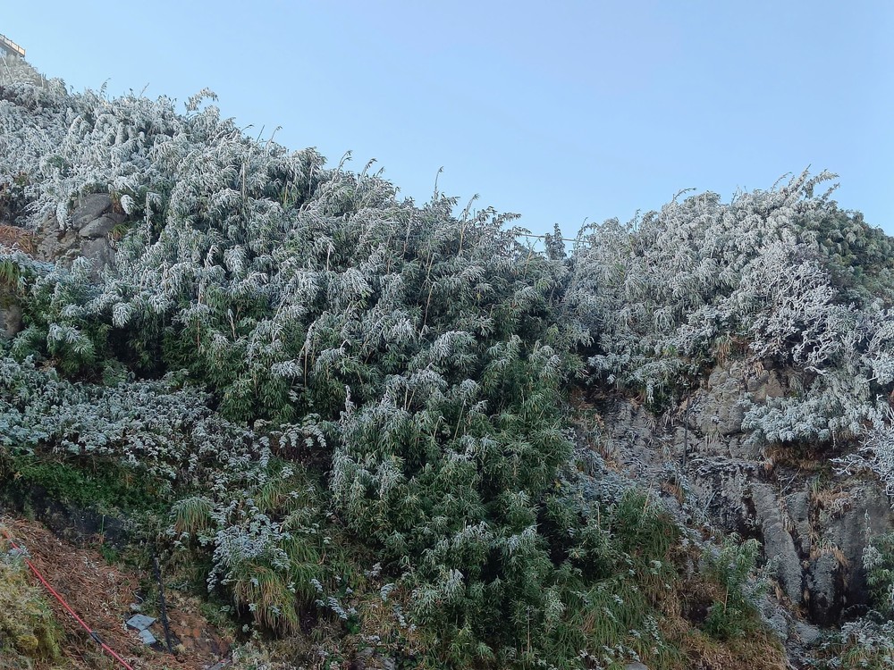 Băng giá phủ trắng đỉnh Fansipan, Lào Cai - Ảnh 5. Băng giá phủ trắng đỉnh Fansipan, Lào Cai - Ảnh 5.