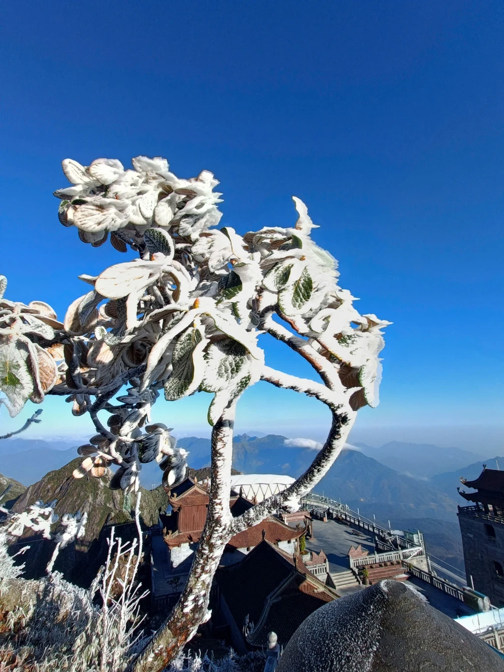 Băng giá phủ trắng đỉnh Fansipan, Lào Cai - Ảnh 6. Băng giá phủ trắng đỉnh Fansipan, Lào Cai - Ảnh 6.