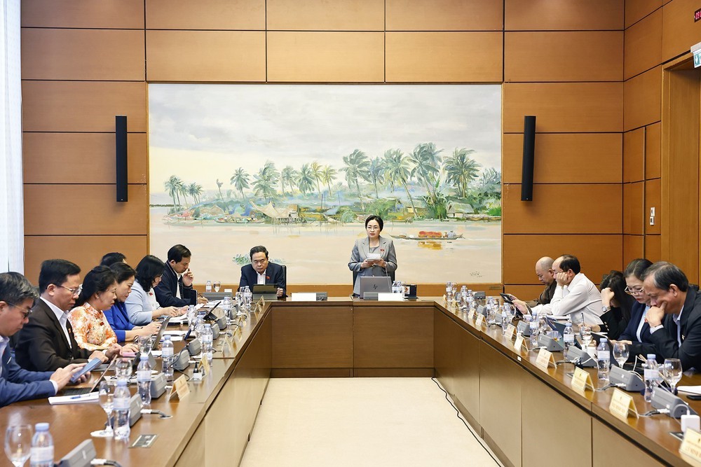 Quốc hội thảo luận ở tổ về 2 Chủ trương đầu tư Chương trình Mục tiêu quốc gia - Ảnh 4.