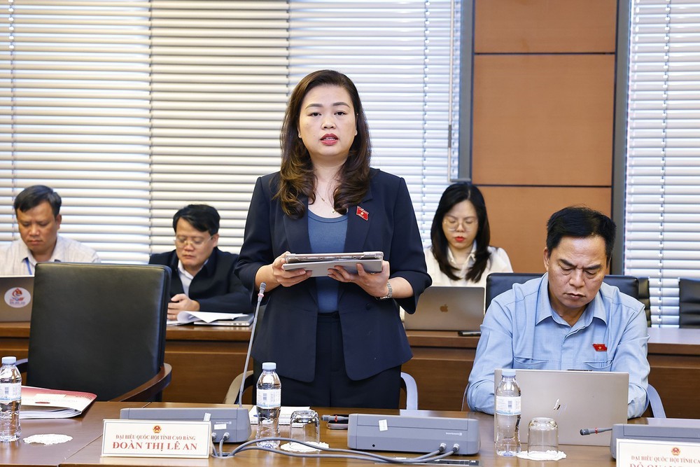 Quốc hội thảo luận ở tổ về 2 Chủ trương đầu tư Chương trình Mục tiêu quốc gia - Ảnh 8.