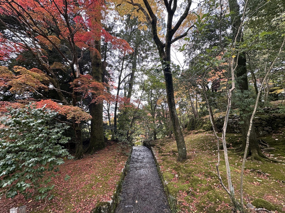 Kenrokuen - Một trong những khu vườn đẹp nhất Nhật Bản vào mùa thu - Ảnh 3.