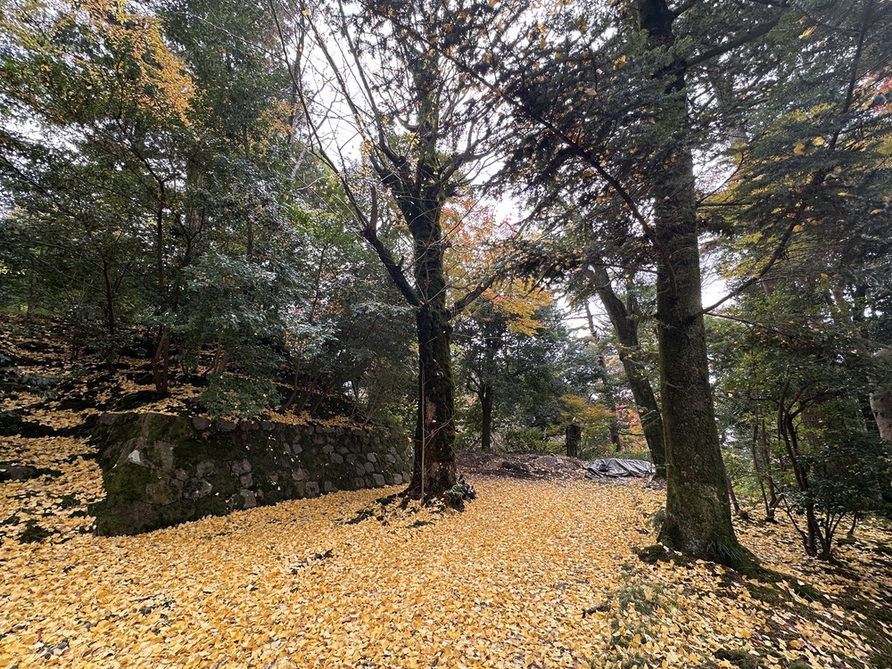 Kenrokuen - Một trong những khu vườn đẹp nhất Nhật Bản vào mùa thu - Ảnh 5.