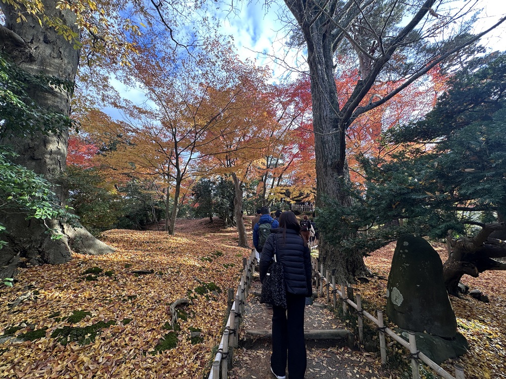 Kenrokuen - Một trong những khu vườn đẹp nhất Nhật Bản vào mùa thu - Ảnh 10.