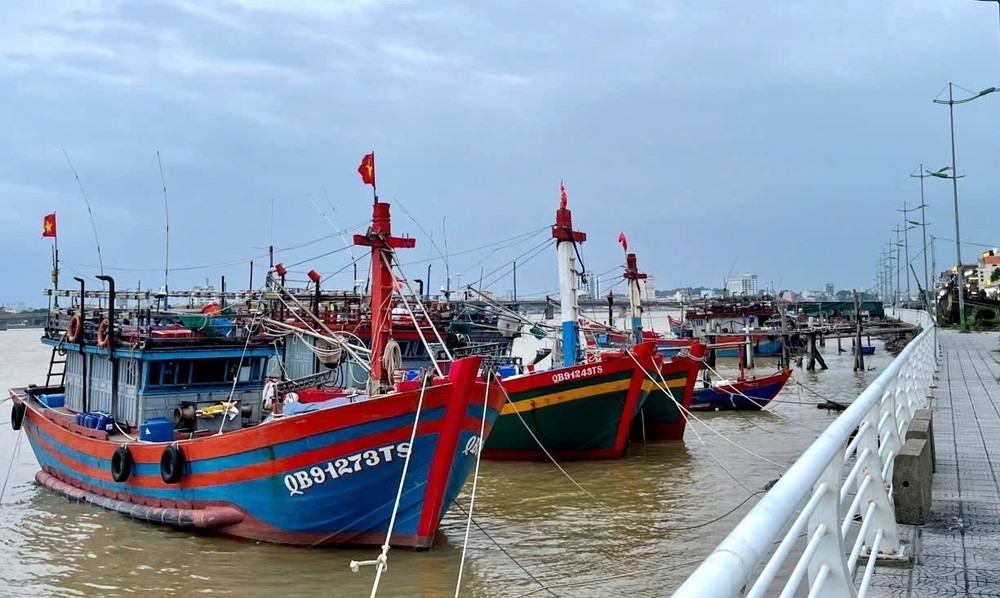 6 tỉnh, thành phố Trung Bộ và Tây Nguyên đảm bảo an toàn đê điều ứng phó bão số 15 - Ảnh 1.