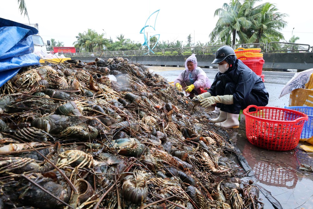 Trong tâm cơn “đại hồng thủy”: Giúp người dân đứng dậy sau lũ dữ - Ảnh 3. Trong tâm cơn “đại hồng thủy”: Giúp người dân đứng dậy sau lũ dữ - Ảnh 3.