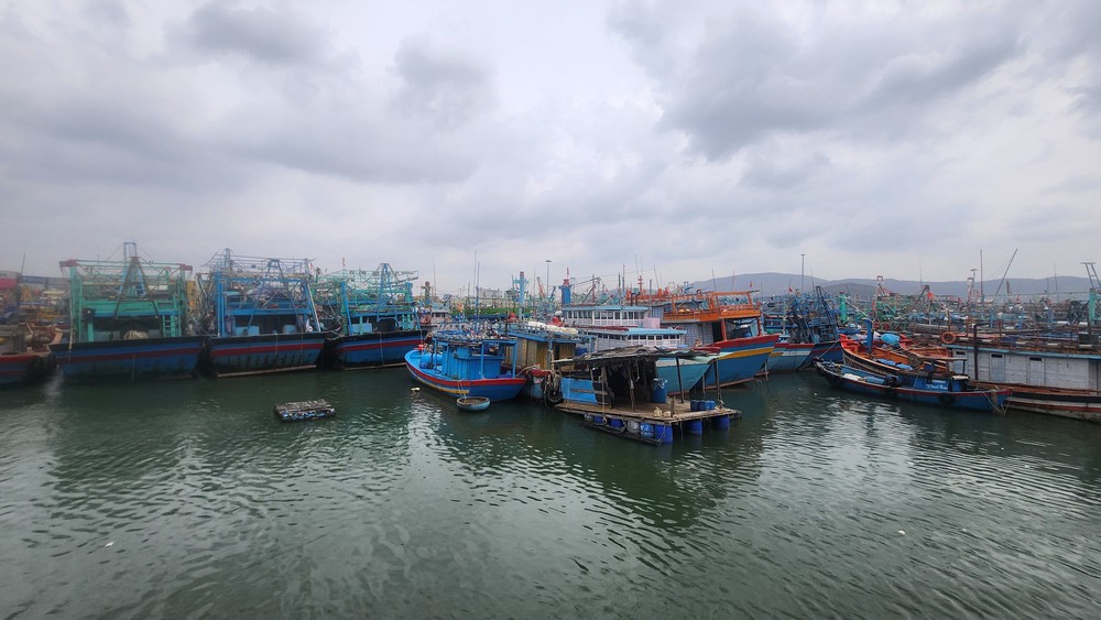 Gia Lai chủ động ứng phó bão số 15 theo phương châm &quot;4 tại chỗ&quot; - Ảnh 1.