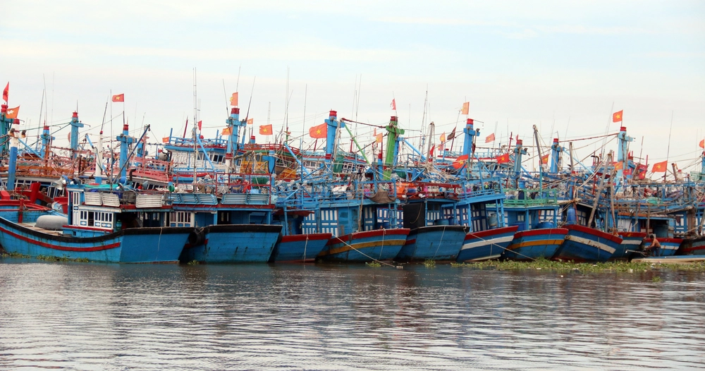 Ảnh hưởng của áp thấp nhiệt đới, khu vực Nam Biển Đông có gió mạnh, sóng cao - Ảnh 2. Ảnh hưởng của áp thấp nhiệt đới, khu vực Nam Biển Đông có gió mạnh, sóng cao - Ảnh 2.