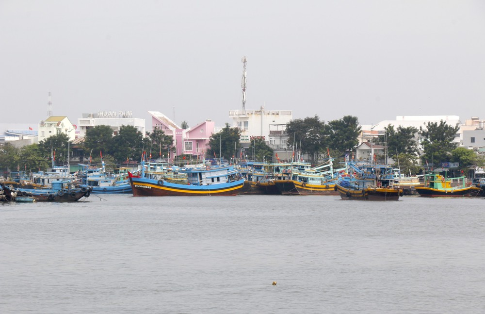 Cập nhật ứng phó bão số 15 ngày 28/11: Lâm Đồng triển khai biện pháp bảo đảm an toàn hồ đập - Ảnh 1. Cập nhật ứng phó bão số 15 ngày 28/11: Lâm Đồng triển khai biện pháp bảo đảm an toàn hồ đập - Ảnh 1.