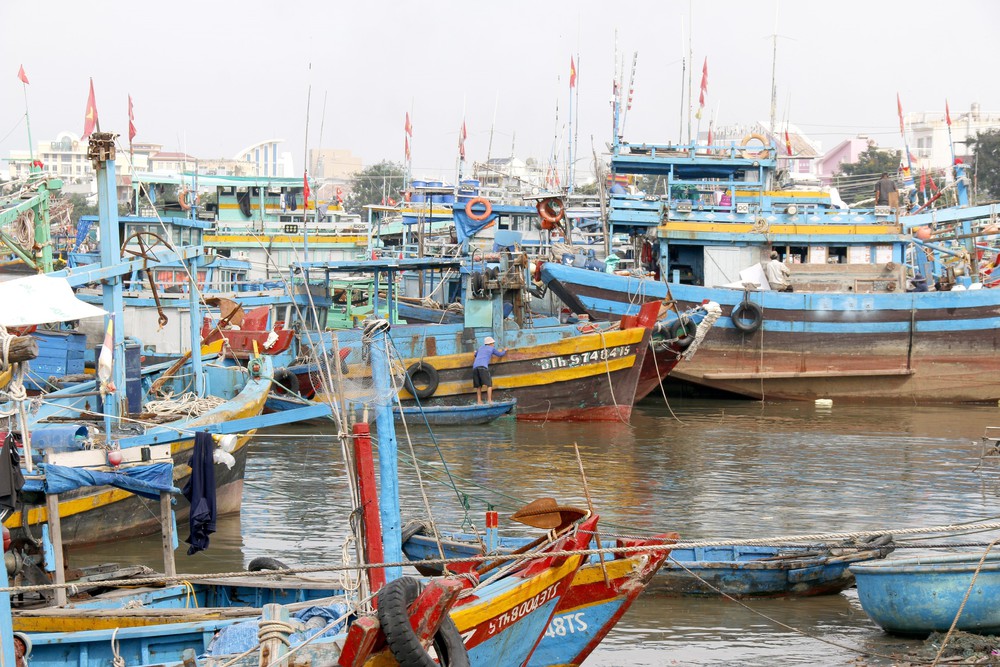 Ứng phó bão số 15: Hơn 360 tàu thuyền đã được hướng dẫn neo đậu an toàn - Ảnh 1.