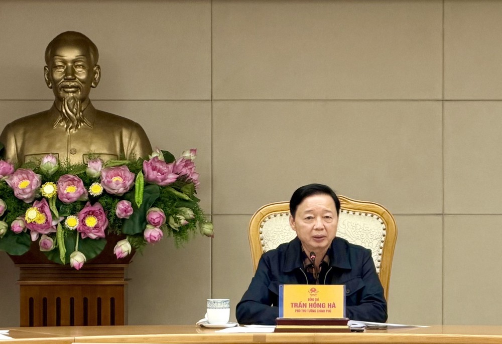 Báo cáo về Nghị quyết cơ chế đặc thù đối với đường sắt tốc độ cao trục Bắc - Nam - Ảnh 1.