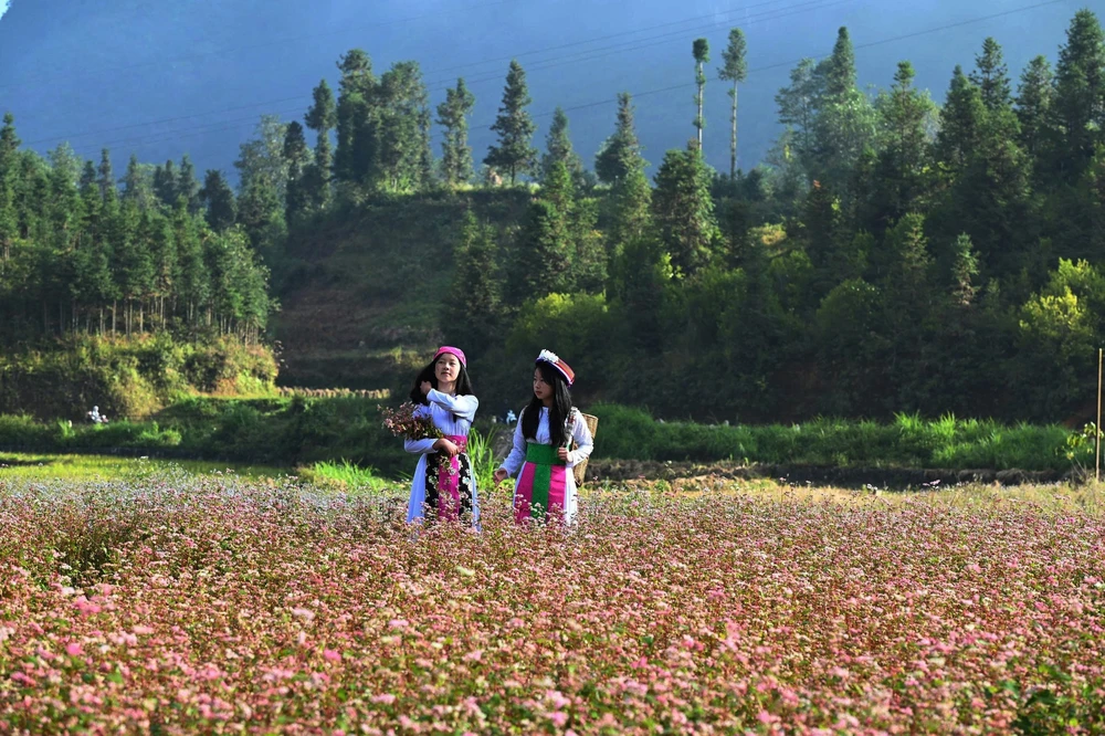 Mùa hoa đánh thức bước chân về miền cực Bắc Tổ quốc - Ảnh 3.