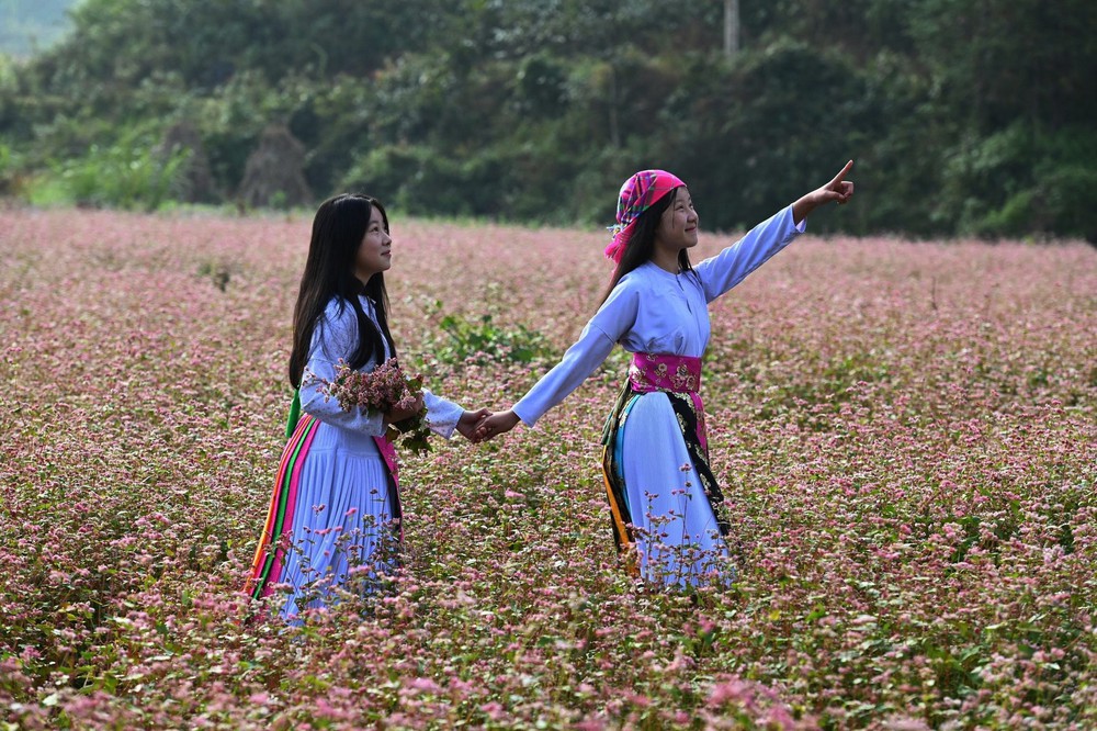 Mùa hoa đánh thức bước chân về miền cực Bắc Tổ quốc - Ảnh 1.