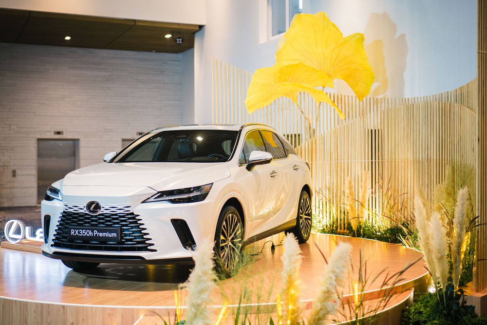 Lexus đồng hành cùng Musique de Salon 18: "Sense Your Soul - Nghe hương ngày thu" - Ảnh 7. Lexus đồng hành cùng Musique de Salon 18: "Sense Your Soul - Nghe hương ngày thu" - Ảnh 7.