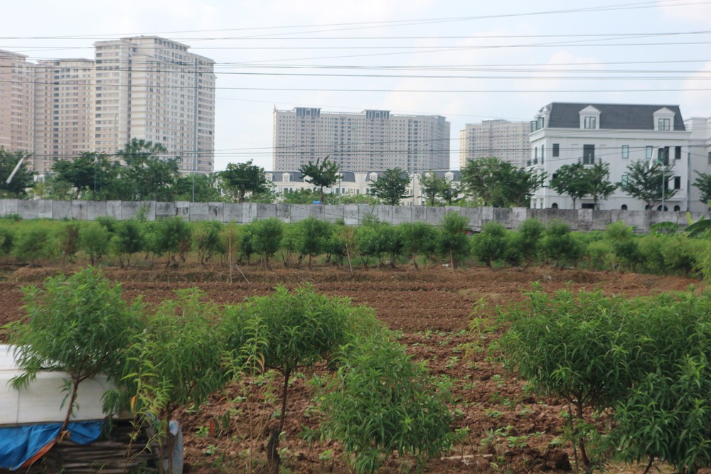 Bảng giá đất Hà Nội: Cần hài hòa giữa &quot;giá sát thị trường&quot; và ổn định dân sinh - Ảnh 1.