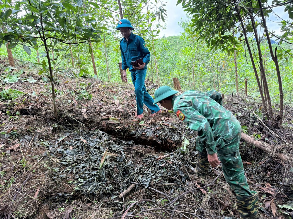 Đà Nẵng di dời khẩn 17 hộ dân tránh nguy cơ sạt lở - Ảnh 1.