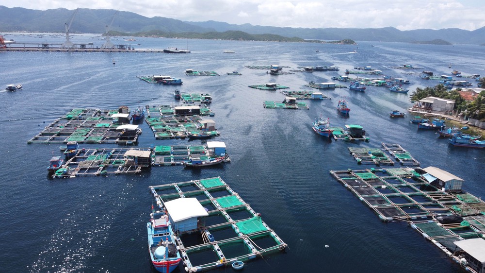 Cập nhật mới nhất: Bão số 13 giật cấp 17 - Ảnh 2.