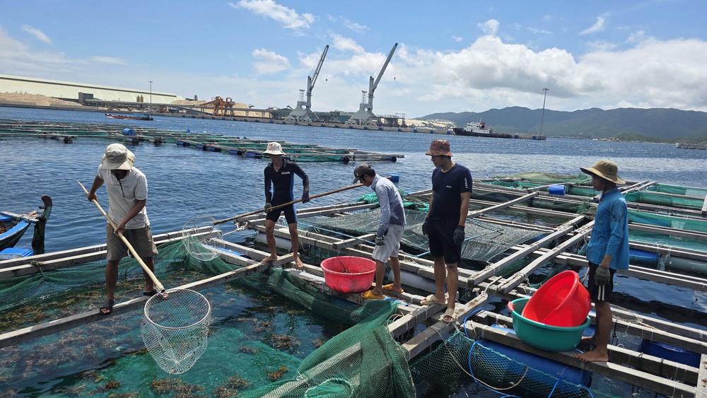 Tiến sĩ Mai Văn Khiêm: Bão số 13 rất mạnh, dự báo gây mưa rất lớn từ Đà Nẵng đến Đắk Lắk - Ảnh 1. Tiến sĩ Mai Văn Khiêm: Bão số 13 rất mạnh, dự báo gây mưa rất lớn từ Đà Nẵng đến Đắk Lắk - Ảnh 1.