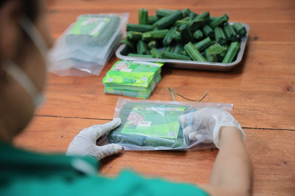 Thanh Hoá hứa hẹn tạo điểm nhấn ấn tượng tại &quot;Hội chợ mùa Thu 2025&quot; - Ảnh 3.