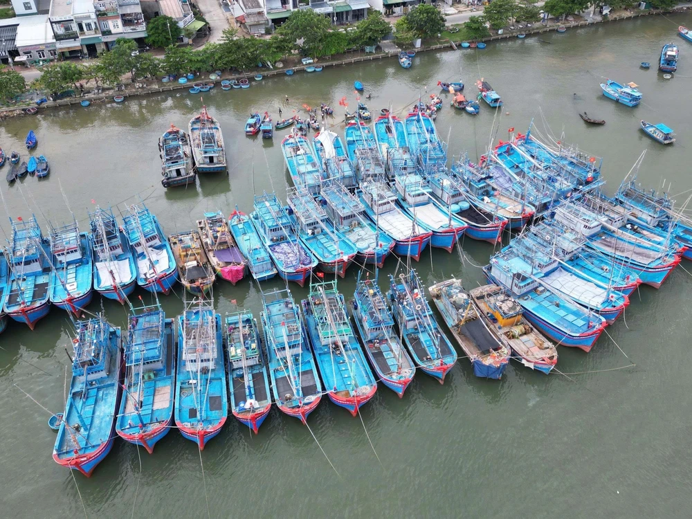 Tiến sĩ Mai Văn Khiêm: Bão số 13 rất mạnh, dự báo gây mưa rất lớn từ Đà Nẵng đến Đắk Lắk - Ảnh 2. Tiến sĩ Mai Văn Khiêm: Bão số 13 rất mạnh, dự báo gây mưa rất lớn từ Đà Nẵng đến Đắk Lắk - Ảnh 2.