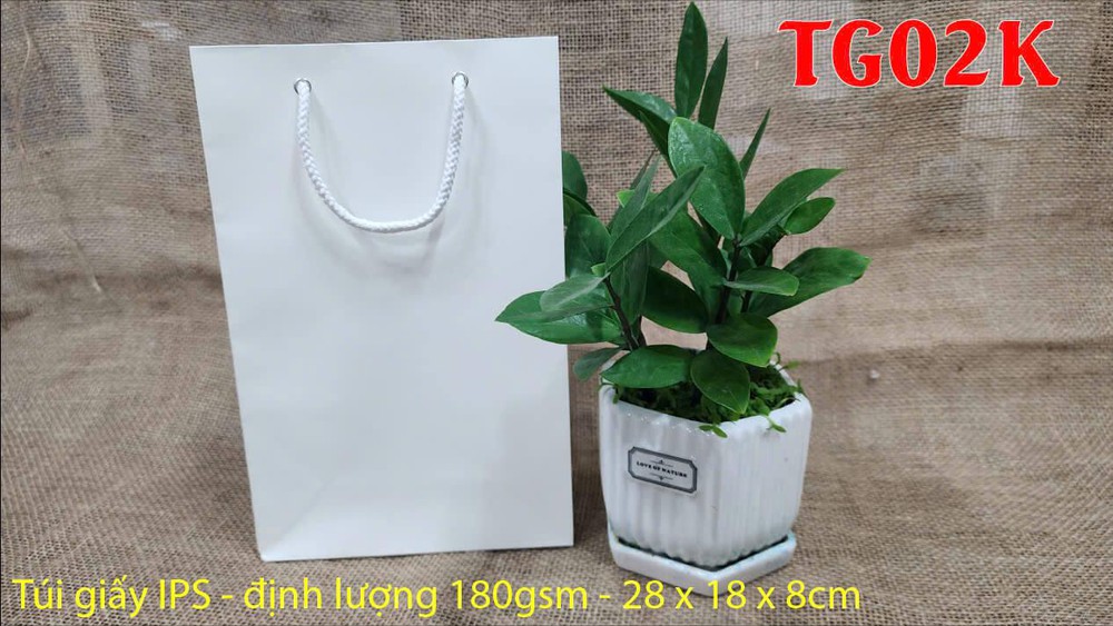 5 Lưu ý để chọn túi giấy phù hợp cho từng loại sản phẩm - Ảnh 1. 5 Lưu ý để chọn túi giấy phù hợp cho từng loại sản phẩm - Ảnh 1.