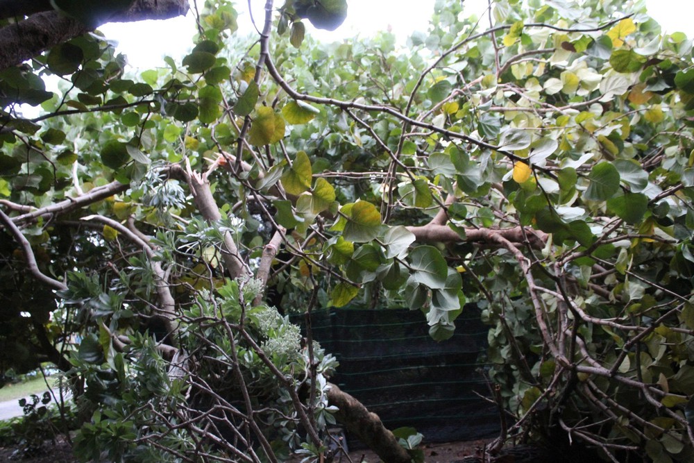 Cập nhật mới nhất tin bão số 13: Bão giật trên cấp 17 tiến vào biển Quy Nhơn - Ảnh 2. Cập nhật mới nhất tin bão số 13: Bão giật trên cấp 17 tiến vào biển Quy Nhơn - Ảnh 2.