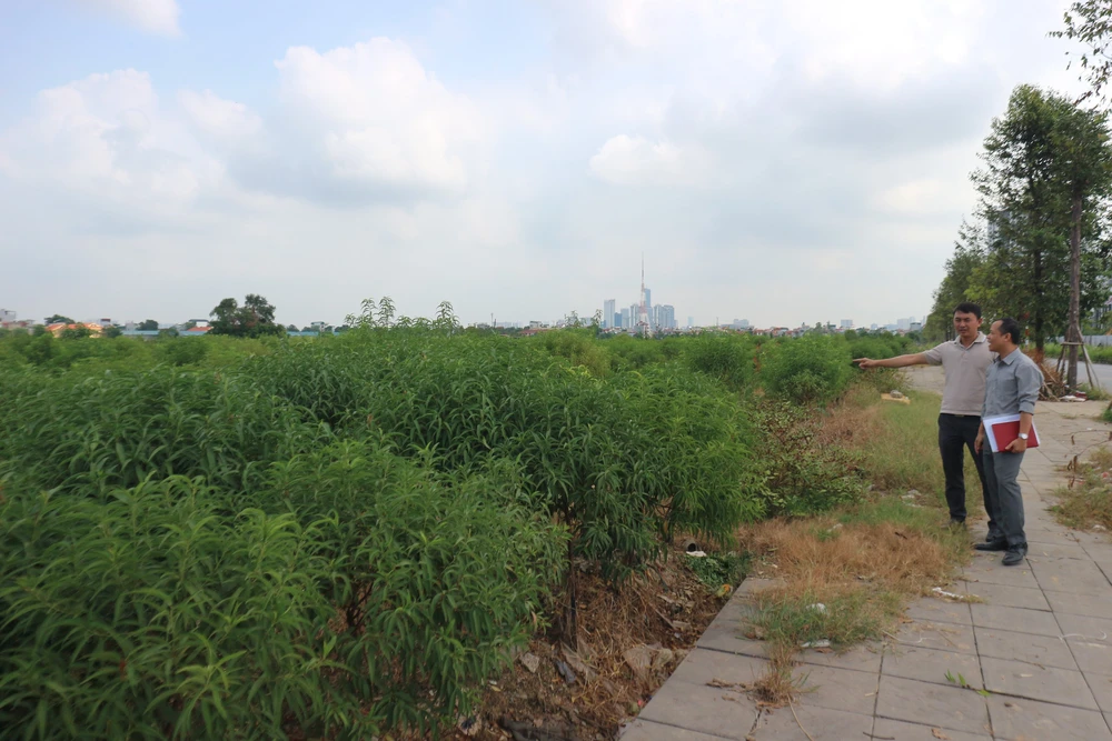 Góp ý Dự thảo Văn kiện Đại hội XIV của Đảng: Hướng đến nền kinh tế xanh, số hóa và tự cường - Ảnh 3. Góp ý Dự thảo Văn kiện Đại hội XIV của Đảng: Hướng đến nền kinh tế xanh, số hóa và tự cường - Ảnh 3.