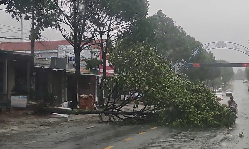Cập nhật mới nhất tin bão số 13: Bão giật trên cấp 17 tiến vào biển Quy Nhơn - Ảnh 1.
