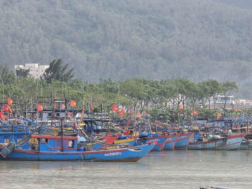 Đà Nẵng: Tàu thuyền khẩn trương vào tránh trú trước bão số 13 - Ảnh 3. Đà Nẵng: Tàu thuyền khẩn trương vào tránh trú trước bão số 13 - Ảnh 3.