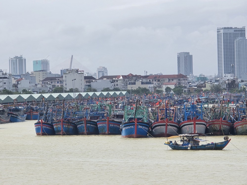 Thủ tướng Chính phủ yêu cầu tập trung triển khai các biện pháp khẩn cấp ứng phó bão số 13 - Ảnh 3. Thủ tướng Chính phủ yêu cầu tập trung triển khai các biện pháp khẩn cấp ứng phó bão số 13 - Ảnh 3.