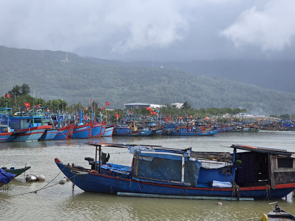 Đà Nẵng: Tàu thuyền khẩn trương vào tránh trú trước bão số 13 - Ảnh 1. Đà Nẵng: Tàu thuyền khẩn trương vào tránh trú trước bão số 13 - Ảnh 1.