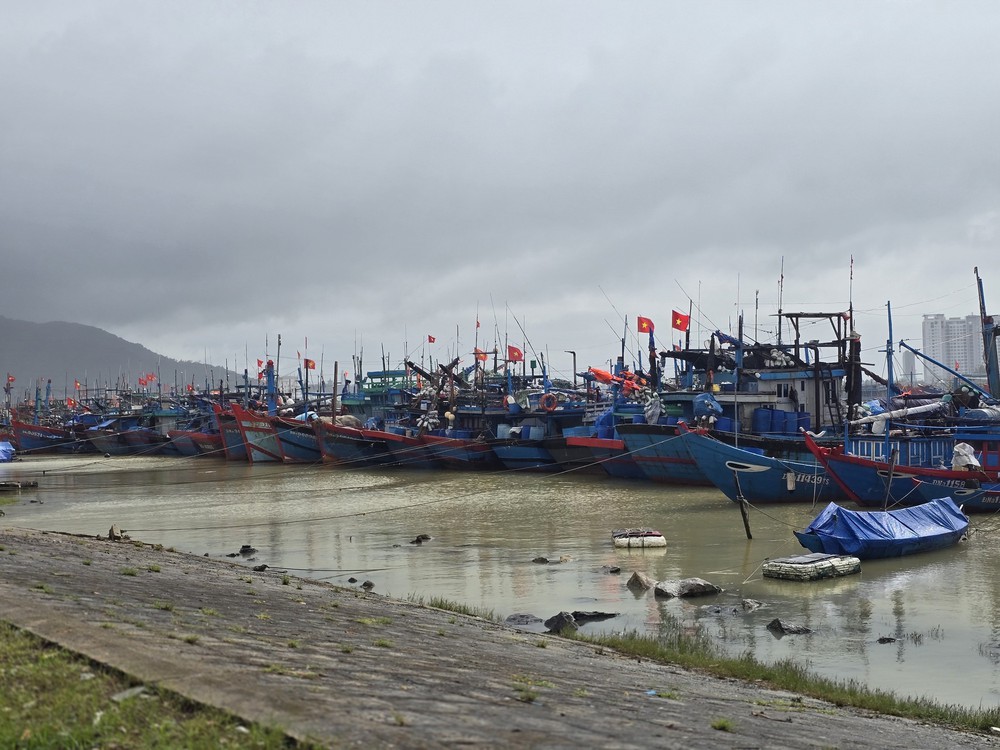 Đà Nẵng: Tàu thuyền khẩn trương vào tránh trú trước bão số 13 - Ảnh 4. Đà Nẵng: Tàu thuyền khẩn trương vào tránh trú trước bão số 13 - Ảnh 4.