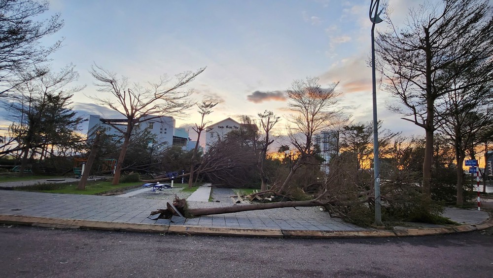 Bão số 13 gây thiệt hại nặng nề nhiều nơi ở tỉnh Gia Lai - Ảnh 3. Bão số 13 gây thiệt hại nặng nề nhiều nơi ở tỉnh Gia Lai - Ảnh 3.