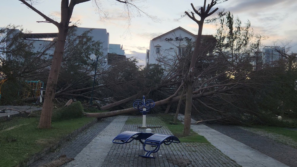 Bão số 13 gây thiệt hại nặng nề nhiều nơi ở tỉnh Gia Lai - Ảnh 5. Bão số 13 gây thiệt hại nặng nề nhiều nơi ở tỉnh Gia Lai - Ảnh 5.