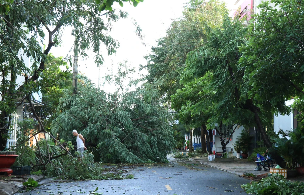 Bão số 13 gây thiệt hại trên địa bàn tỉnh Đắk Lắk - Ảnh 11. Bão số 13 gây thiệt hại trên địa bàn tỉnh Đắk Lắk - Ảnh 11.