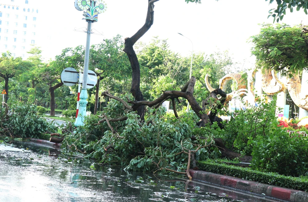 Bão số 13 gây thiệt hại trên địa bàn tỉnh Đắk Lắk - Ảnh 10. Bão số 13 gây thiệt hại trên địa bàn tỉnh Đắk Lắk - Ảnh 10.