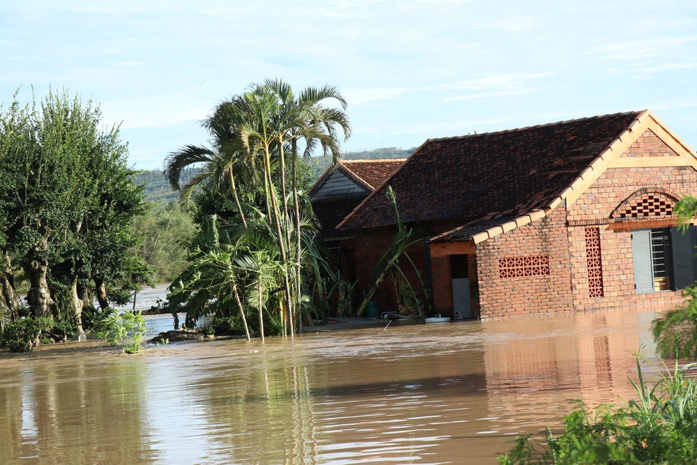Bão số 13 gây thiệt hại trên địa bàn tỉnh Đắk Lắk - Ảnh 3. Bão số 13 gây thiệt hại trên địa bàn tỉnh Đắk Lắk - Ảnh 3.