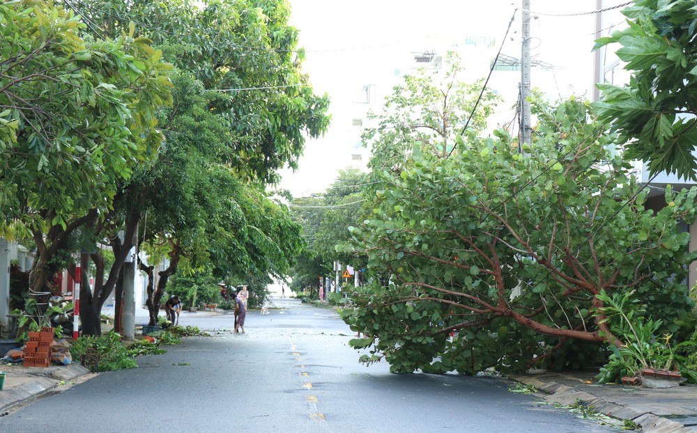 Bão số 13 gây thiệt hại trên địa bàn tỉnh Đắk Lắk - Ảnh 9. Bão số 13 gây thiệt hại trên địa bàn tỉnh Đắk Lắk - Ảnh 9.